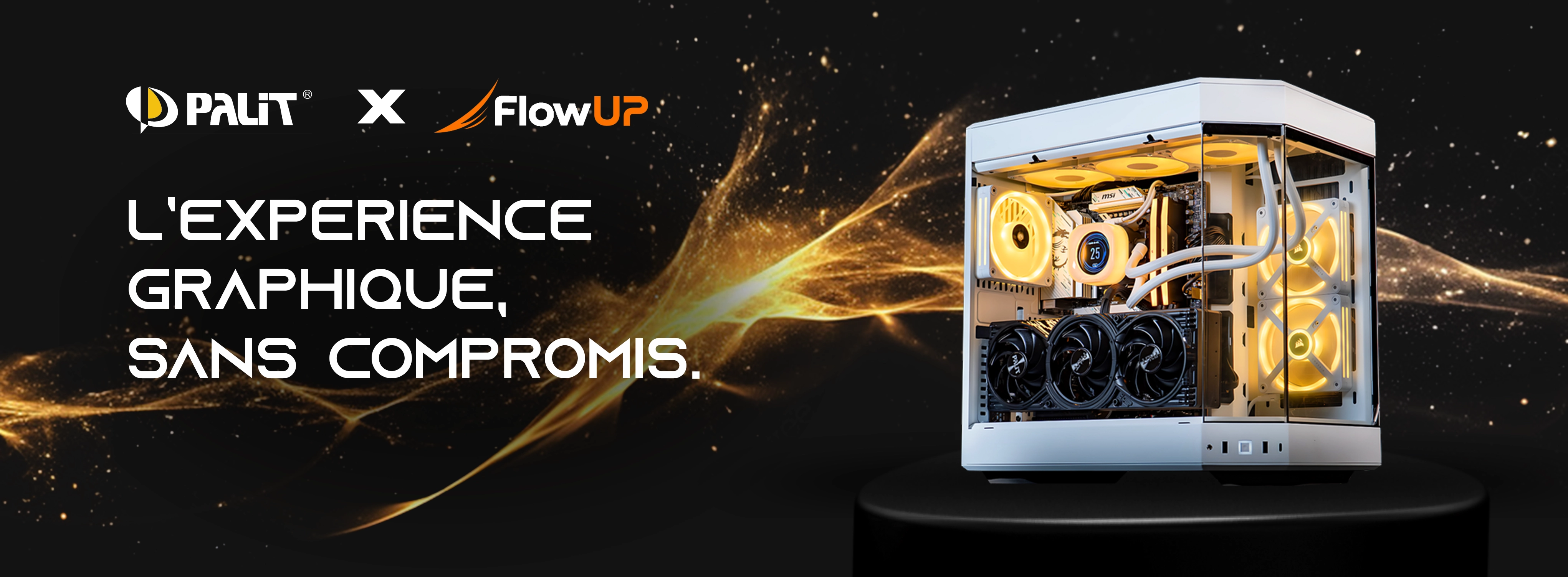 bannière flowup x palit