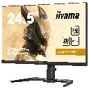 iiYama 24" /240hz /1080p /fast IPS (GB2590HSU)