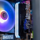 Détail des barrettes de RAM Corsair Vengeance RGB et du SSD Crucial P3 Plus installés sur la carte mère du PC Typhoon