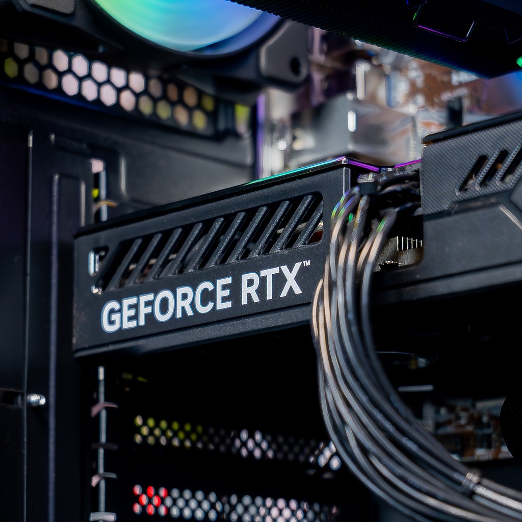 Détail du branchement d'alimentation de la carte graphique NVIDIA GeForce RTX 5050 8GB dans le boîtier du PC Typhoon